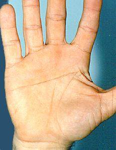 Heart Line and Head Line Fused Together Palmistry | INDIAN PALM ... Heart Line and Head Line Fused Together Palmistry | INDIAN PALM ...