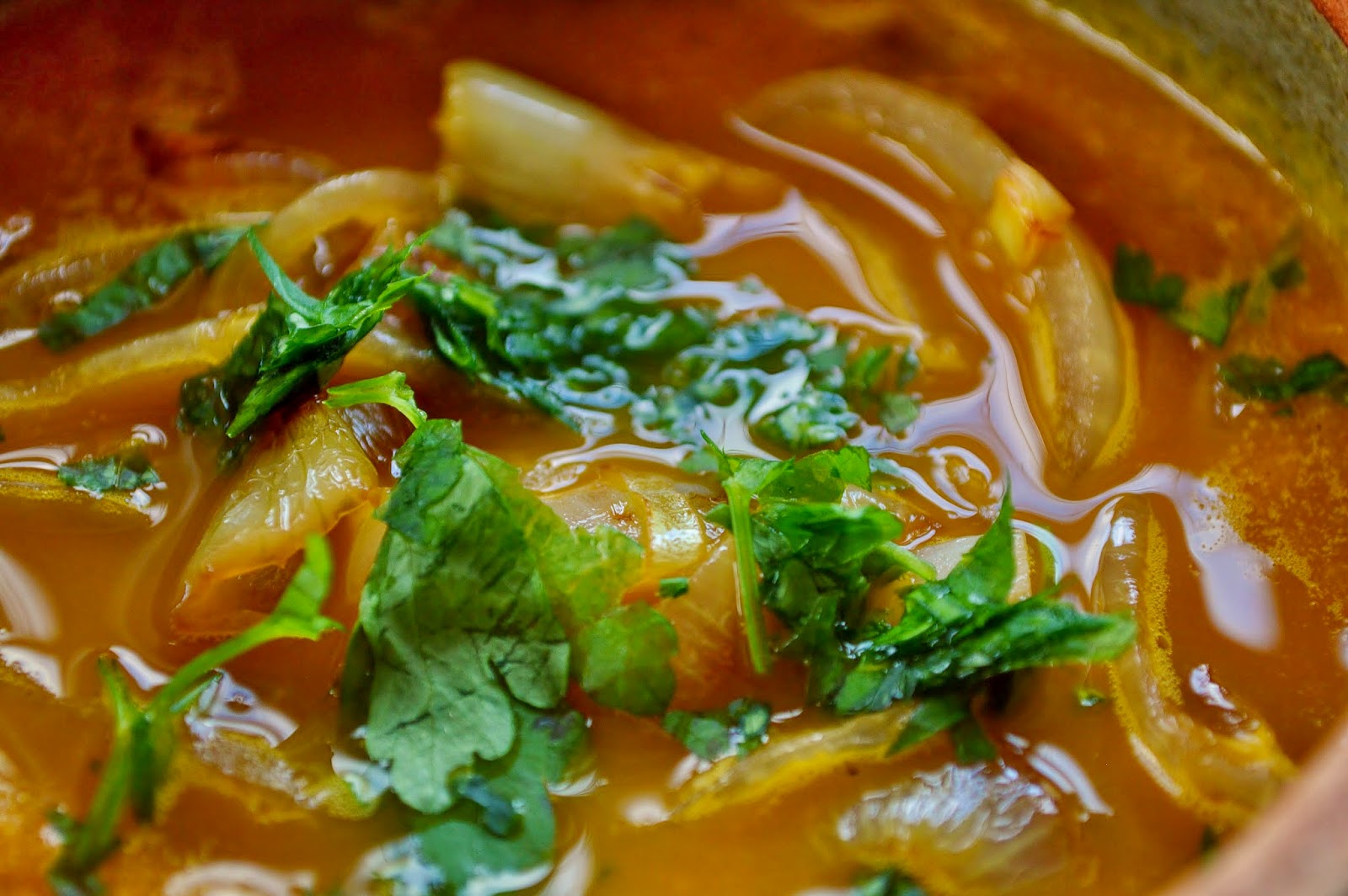 Onion Soup GF SCD Gluten Free SCD and Veggie