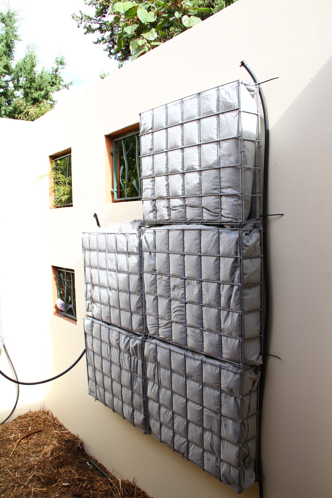 Frame This DIY Vertical Garden