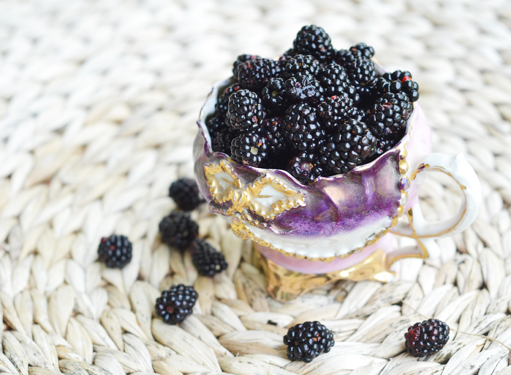 The World in My Kitchen Wild Blackberry Gelato