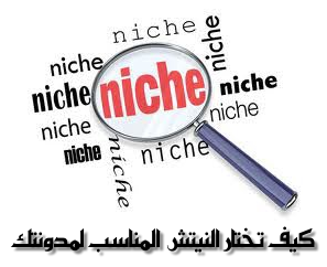 الدرس14: كيف تختار النيتش Niche المناسب لمدونتك