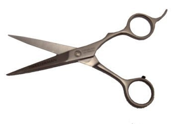 This picture of haircuting scissors represents when Gregs mom wanted 