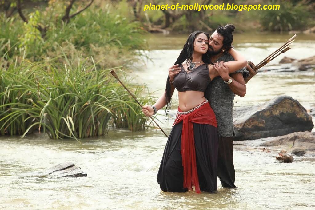 Mollywood Cine Gallery: Karthika Nair Hot Navel exposing stills in