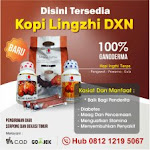 Jual Herbal Asam Lambung Alami