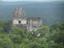 Temple of The Jaguar Priest and Temple of The Masks in Central Plaza tfrom Temple IV, Tikal