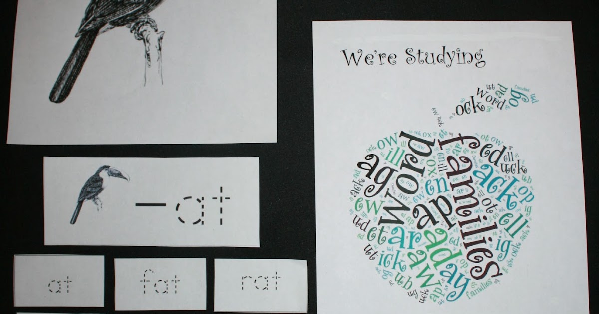 Classroom Freebies: Comprehensive Word Wall Packet