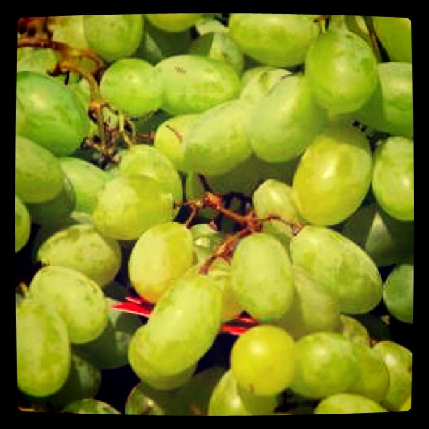 Proper Produce Storage Guide Grapes HarvestMarket Coop