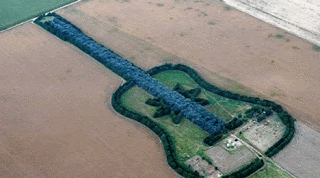 Gitar Raksasa Terbuat dari 7000 Pohon