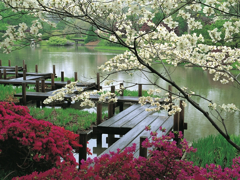 Pemandangan Jepang | Gambar pemandangan indah Indonesia