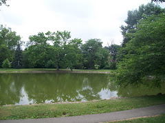 Lake Side View