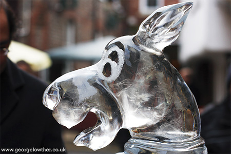 de hielo de hielo