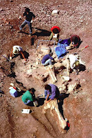 Fallen Angels Giants Nephilim