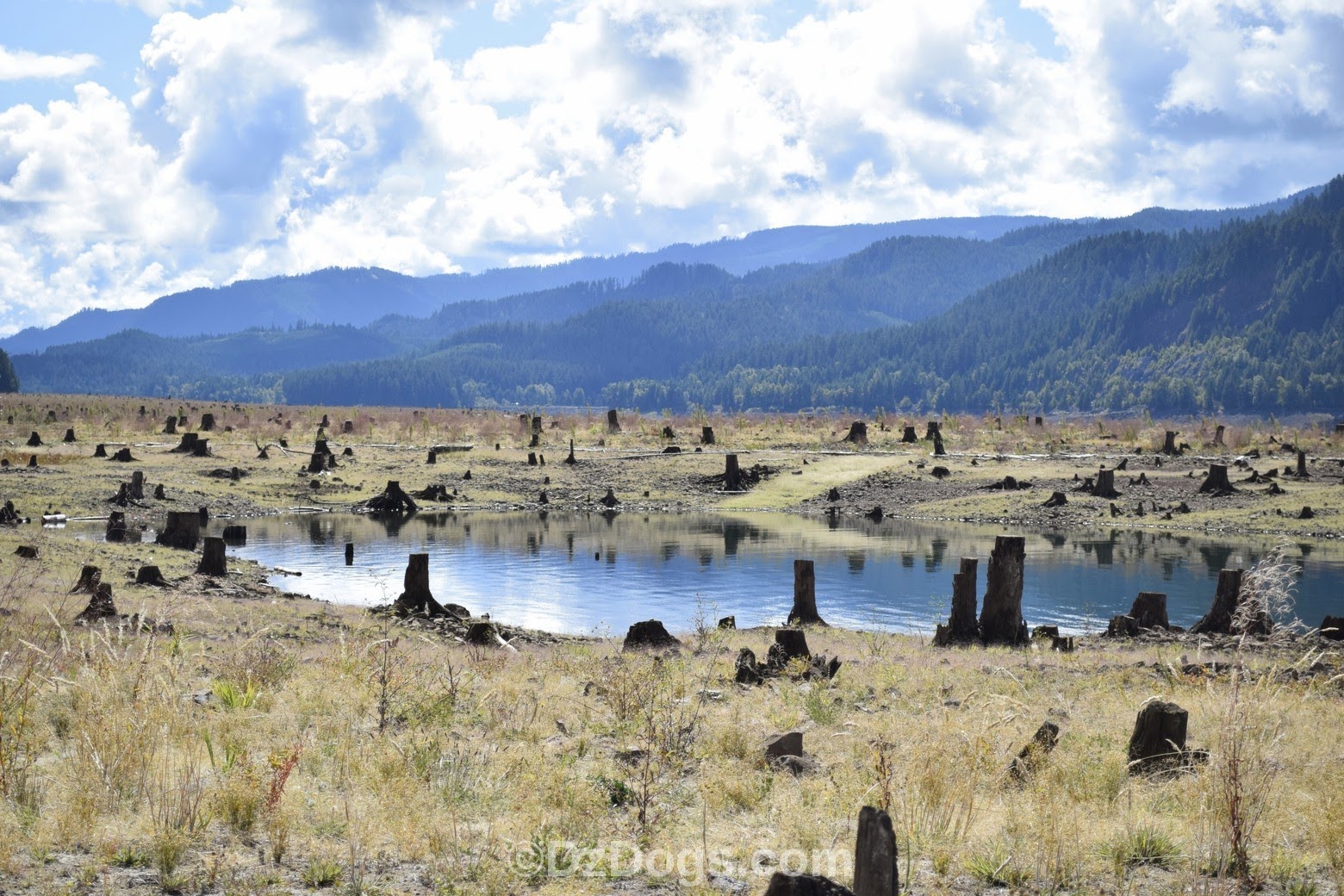 DZ's Adventures Lookout Point Reservoir, Oregon