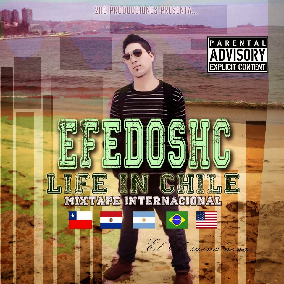 LIFE IN CHILE (2014)