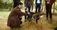 slug guts goat
