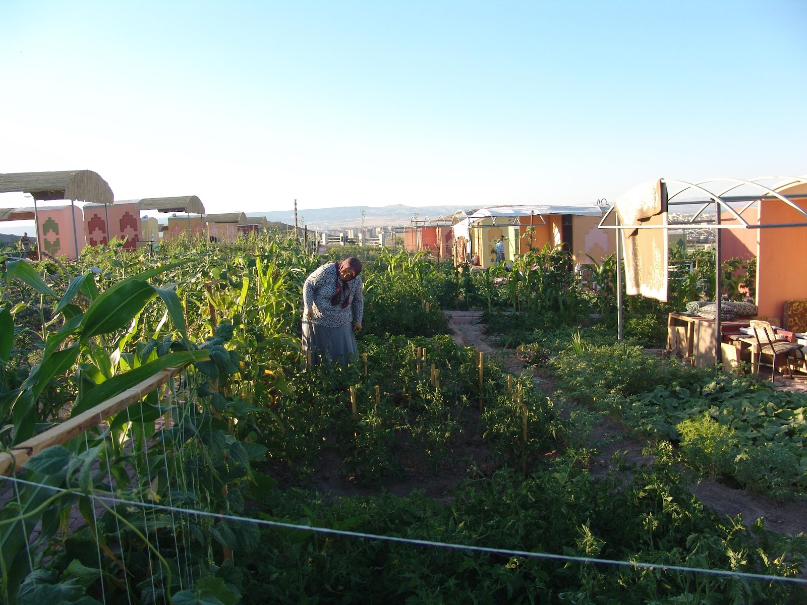 kirmizi kayseri de 5 hobi bahcesi hizmete acilacak