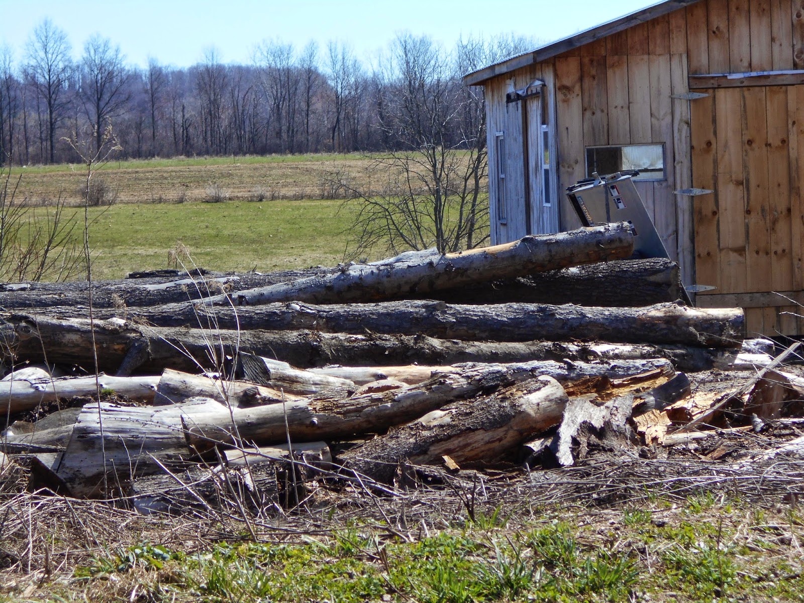New York State of Mind OLD ORDER MENNONITE SAW MILL