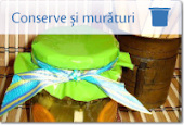 Conserve si muraturi