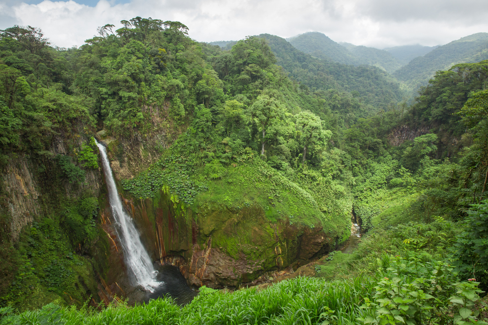 Costa Rica's beautiful jungle