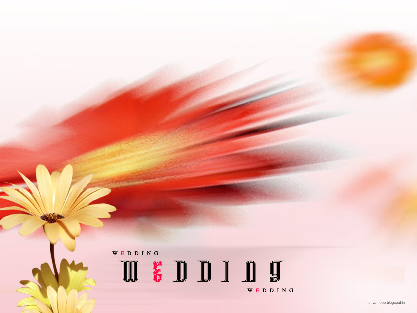 free creative designs everything