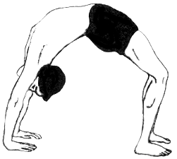 Wheel Asana