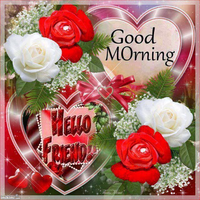 Beautiful Red and White Rose Good Morning Beautiful Roses