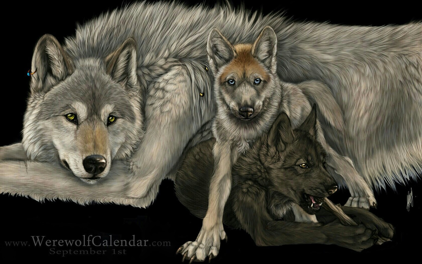 eBook of Shadows: Wolves ~ our totem/spirit & favorite animal