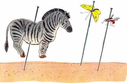 Это Пахом сказал про зебру! Это все из-за Пахома!