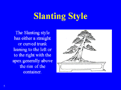 Slanting Style