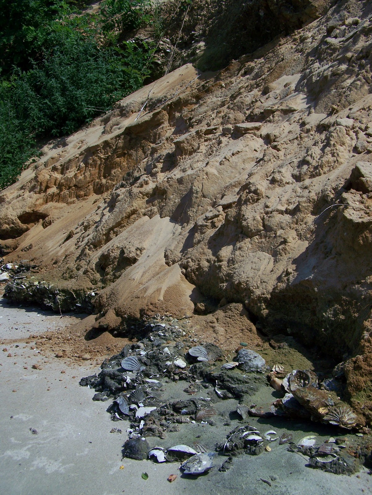 Deltaville Shark Tooth Island