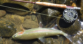 fly fish Idaho; flies fishing; fly fishing; fly fishing equipment; fishing flies; fishing gear; trout flies; salmon flies; fly fishing Idaho; flies for sale; Idaho fly fishing; flyfishing flies; fishing flys