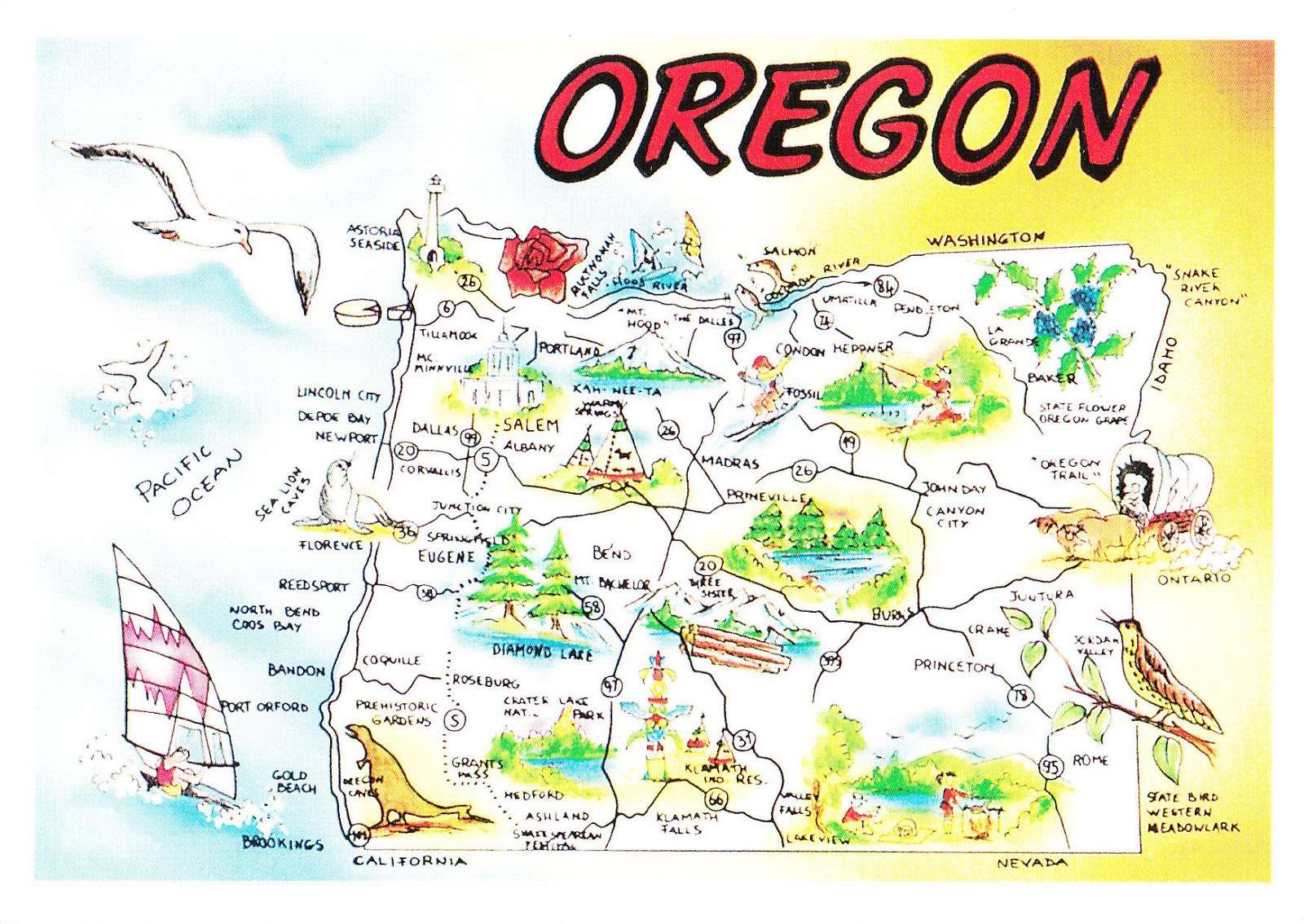 oregon is a state in the pacific northwest region of the united states it is located on the pacific coast with washington to the north california to the oregon is a state in the pacific northwest region of the united states it is located on the pacific coast with washington to the north california to the