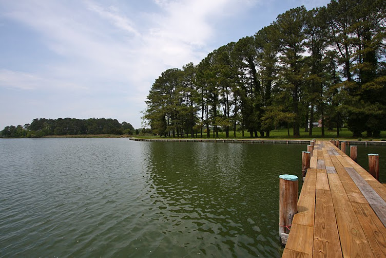 Dock to Shoreline