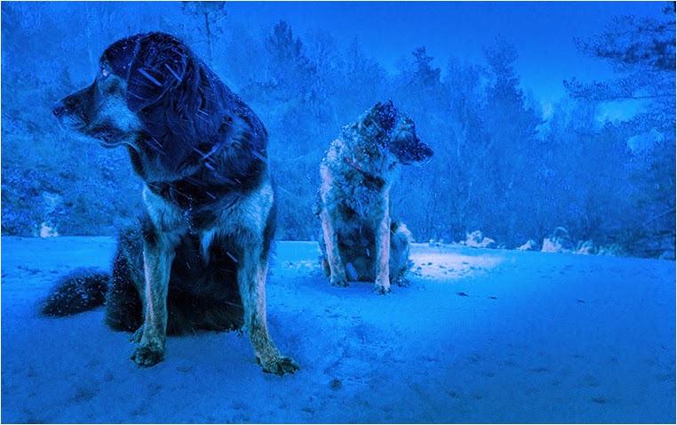 Emerging Photographers, Best Photo of the Day in Emphoka by Scarburgiceras, https://flic.kr/p/qUbiE4 Emerging Photographers, Best Photo of the Day in Emphoka by Scarburgiceras, https://flic.kr/p/qUbiE4