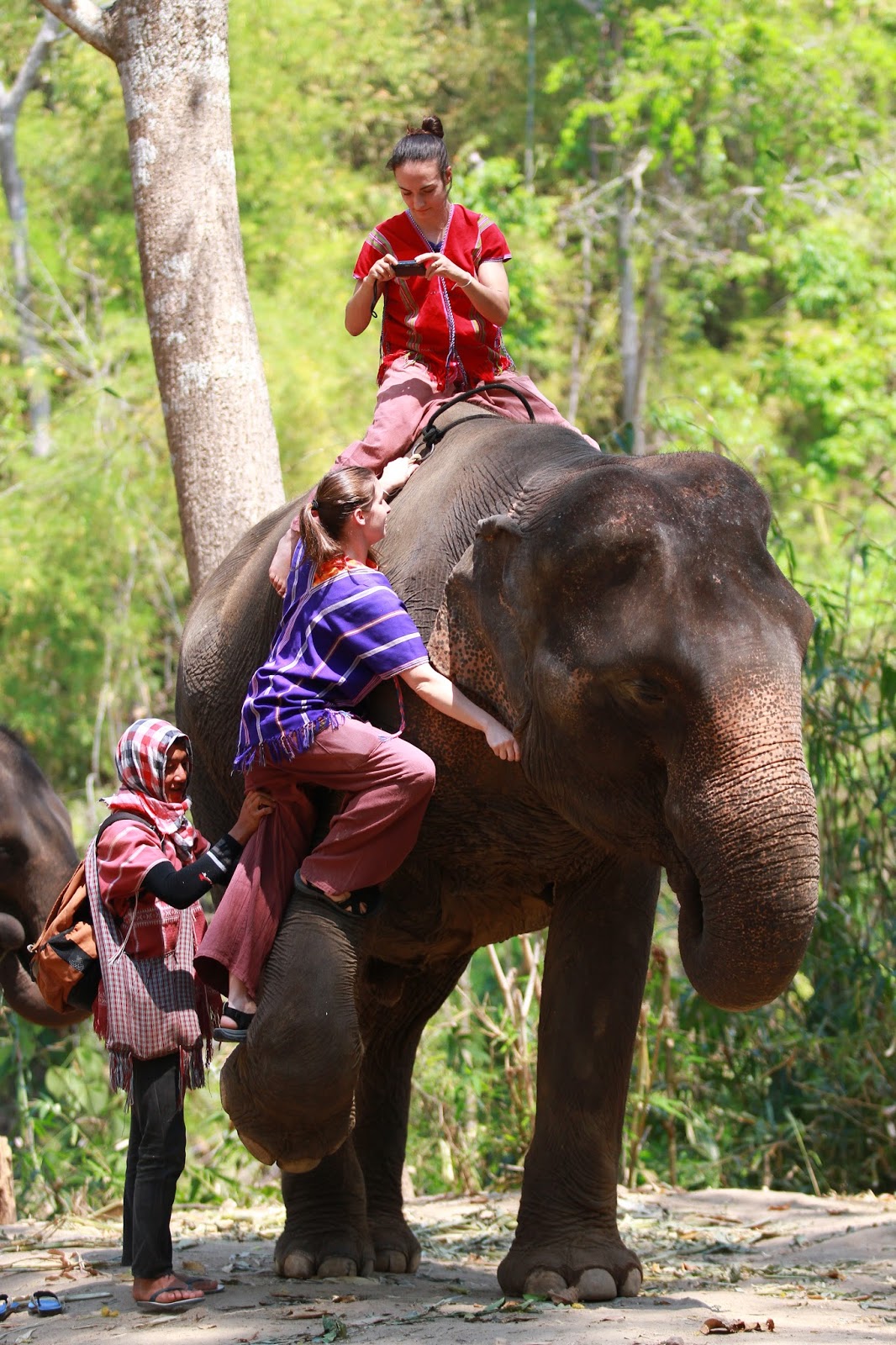 Living the Bucket List Life 111 Blow into the Trunk of an Elephant