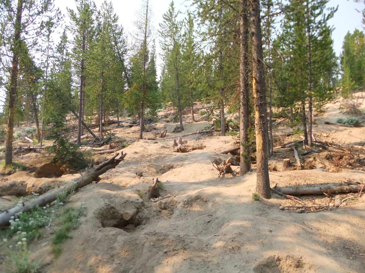 Joe's & Julia's Adventures Montana Digging for Crystals