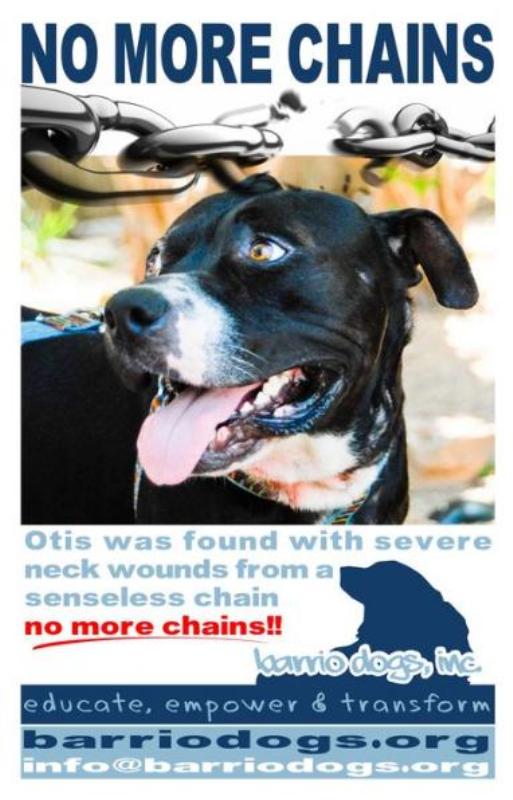 Barrio Dogs No More Chains