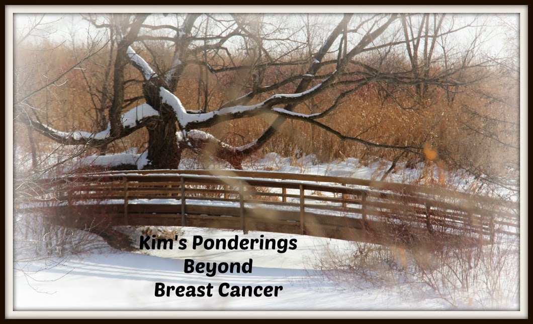 Kim's Ponderings Beyond Breast Cancer