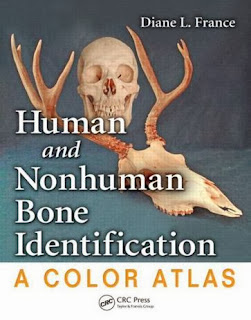 Download Human and Nonhuman Bone Identification: A Color Atlas PDF eBook Magazine