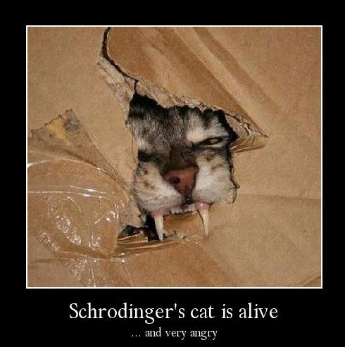 TERMODINÁMICA (AEF1065) La Paradoja del Gato de Schrödinger