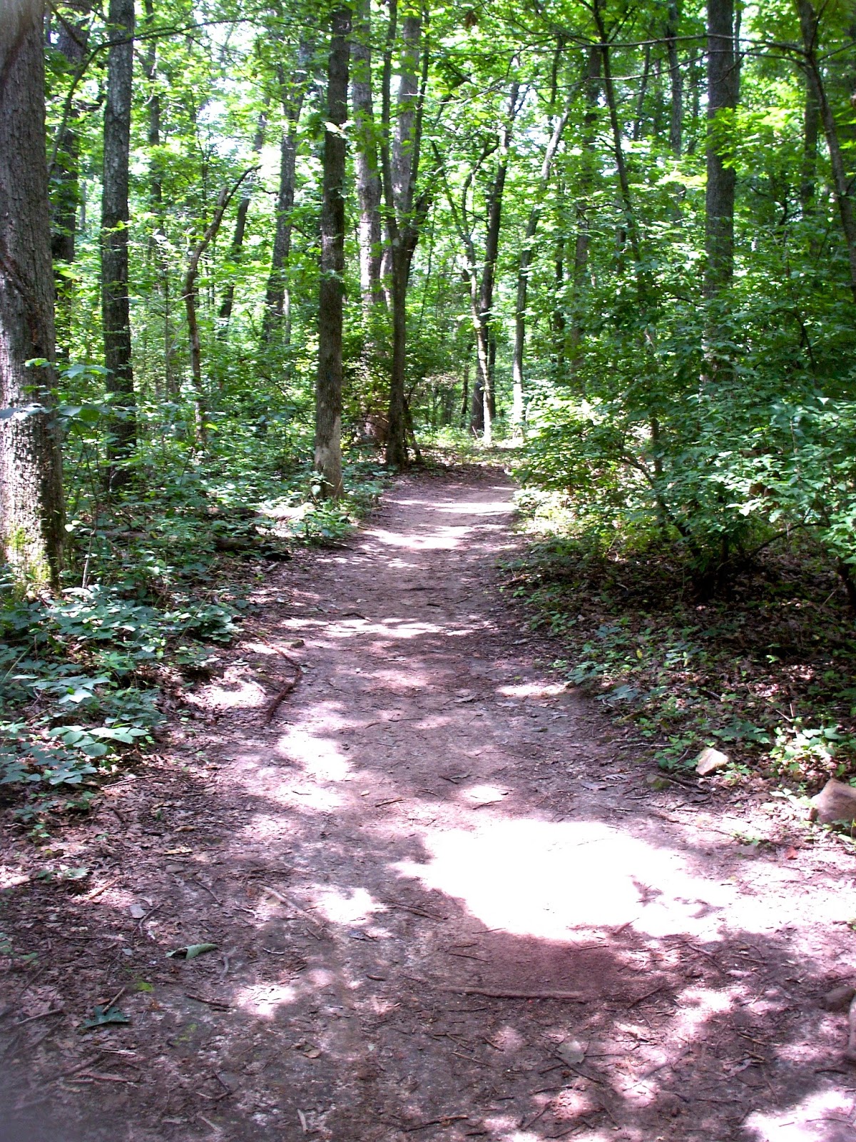 Chuck's Adventures Biking Fayetteville, Arkansas' Lake Fayetteville Trail