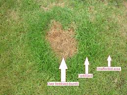 the Piss lawn on Ffm wife amateur