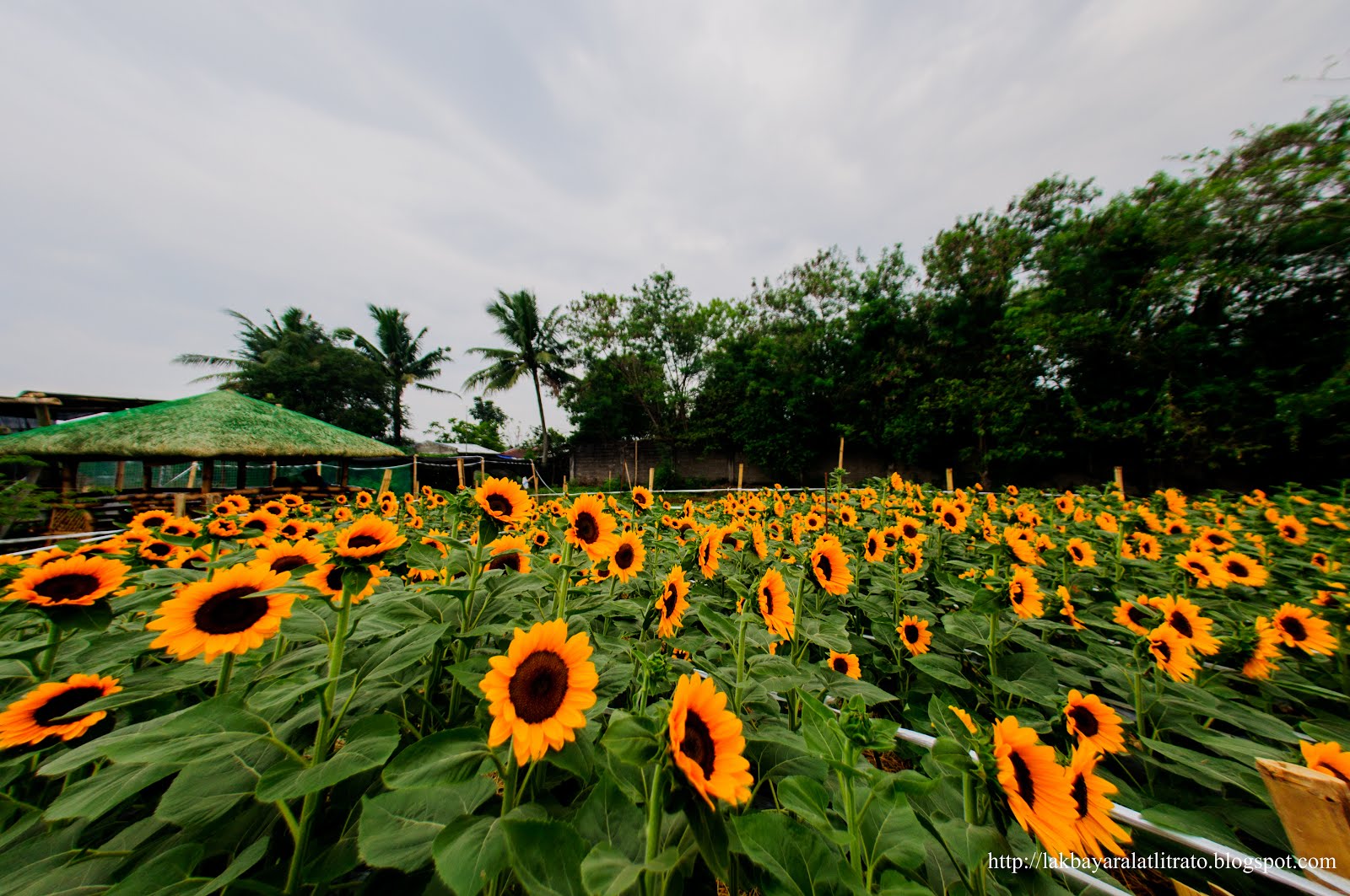 Side Trip Tiaong and Candelaria Quezon