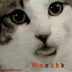 Dp bbm Kucing Mengejek thumbnail