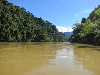 Sungai Sesayap.