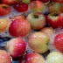 Aprenda como tirar os agrotóxicos dos alimentos de maneira simples