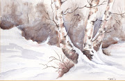 birches in winter on canvas