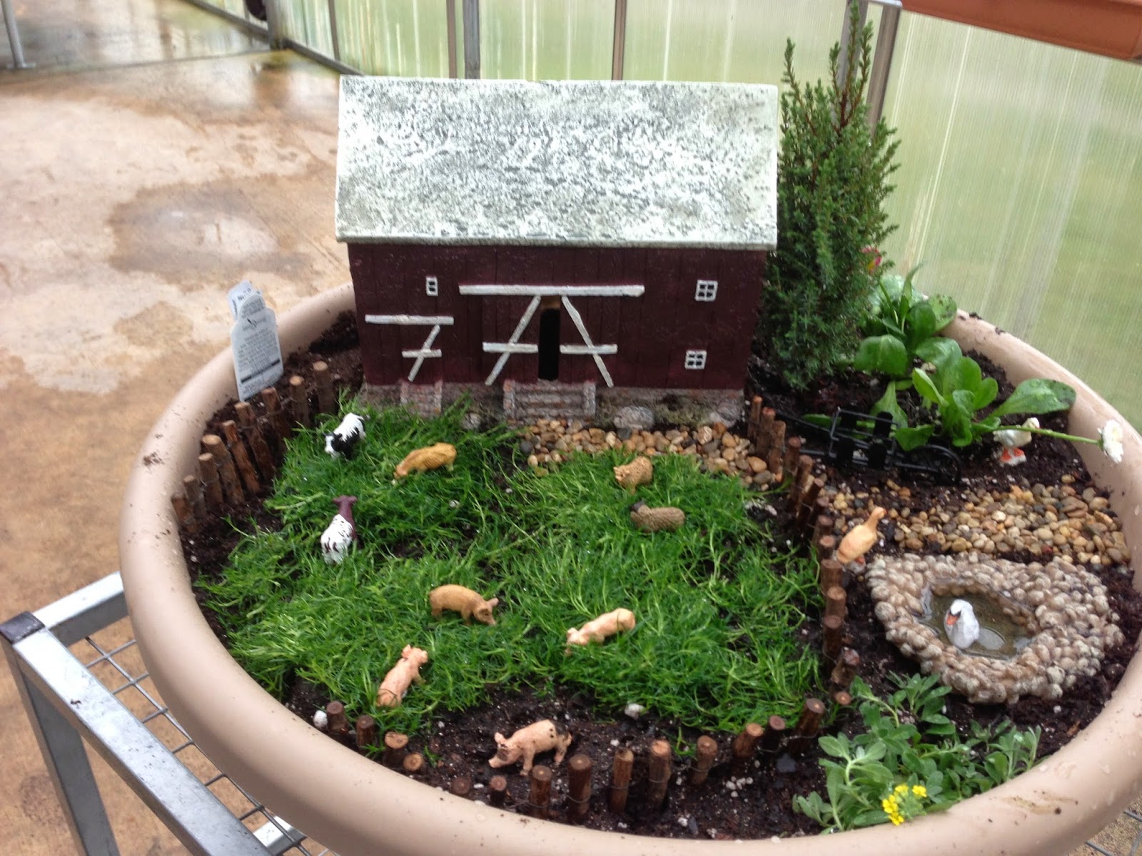How to Make a Fairy Garden Garden Geeks