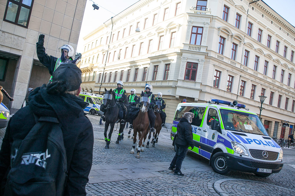 IMAGE: http://4.bp.blogspot.com/-ttJEBLOLsZI/UU3YOpNy6AI/AAAAAAAALcY/r9A4qmfGqrE/s1600/57DT8461.jpg