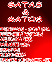 GATAS & GATOS INSCREVAM-SE